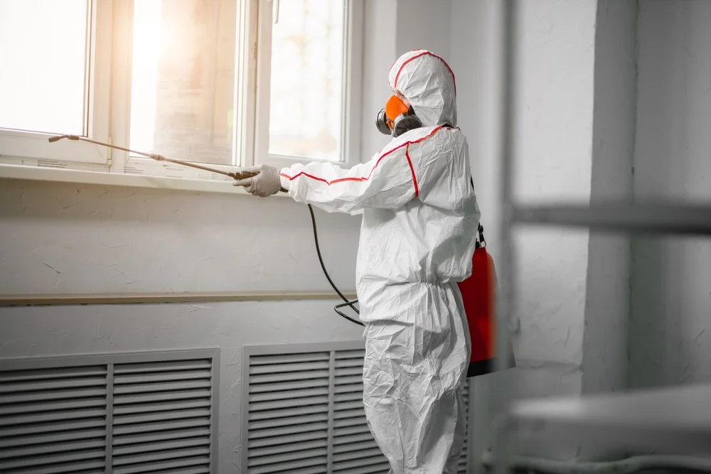 Professional mold remediation services in Shawnee On Delaware, PA